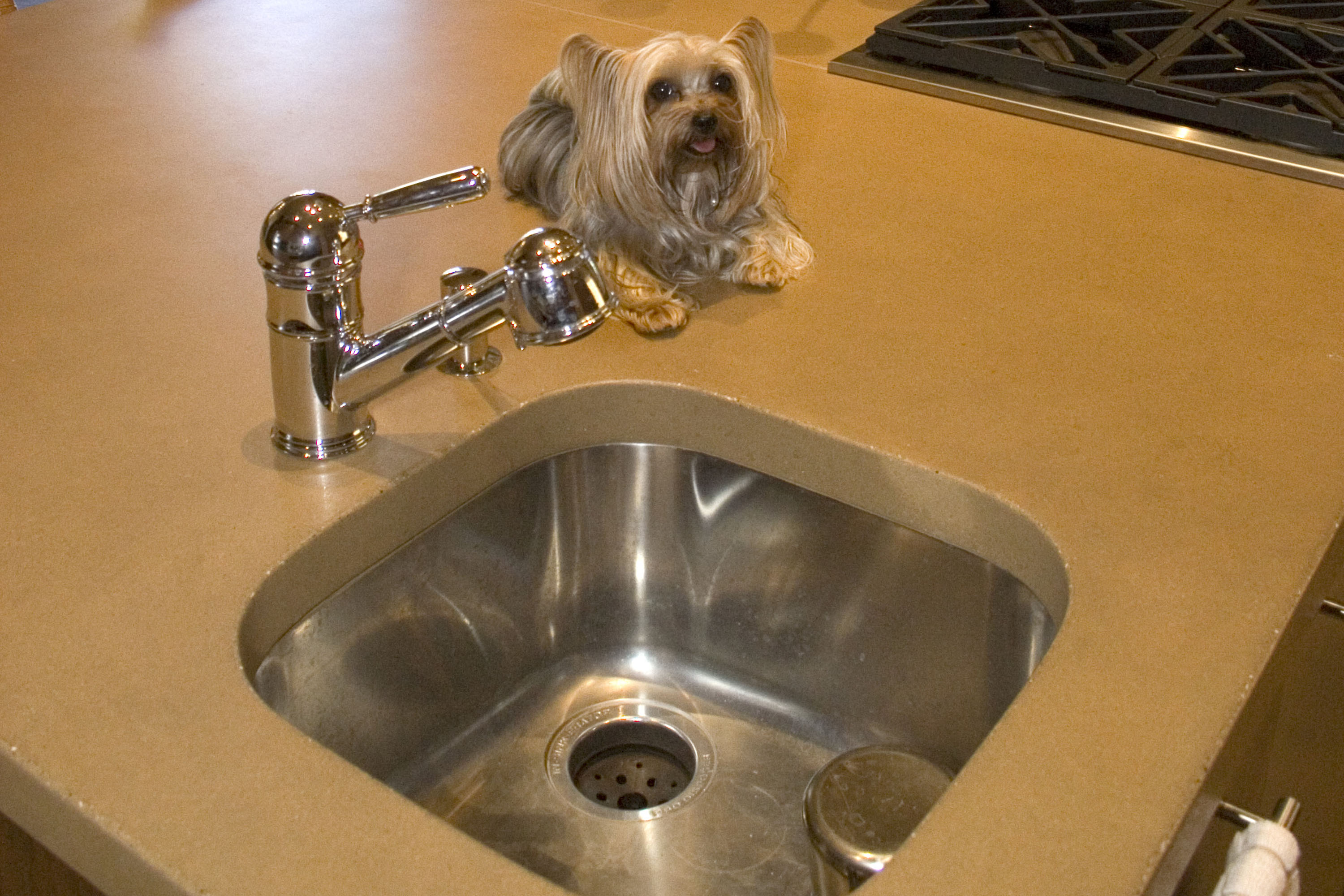 UnderMount Sink with Concrete Countertop, N606 Thyme